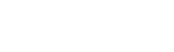 VDMC